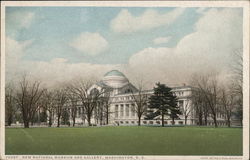 New International Museum and Gallery Postcard