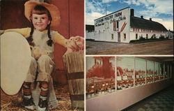 Sterling Poultry Farm and Chick Museum Postcard