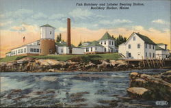 Fish Hatchery and Lobster Rearing Station Postcard