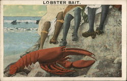 Lobster Bait Postcard