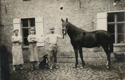 Men With Dog and Horse Postcard