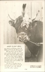 Andy D-Day Bull Brookville, OH Postcard Postcard Postcard