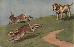 Dog Watching Two Rabbits Run Away Postcard