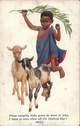 African Boy Shoos Baby Goats With a Palm Frond Postcard