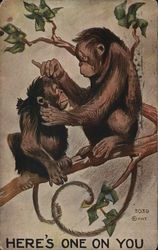 Chimps Grooming for Insects - Here's One On You Monkeys Postcard Postcard