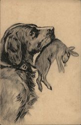 Drawing of Dog Carrying Dead Rabbit Dogs Postcard Postcard