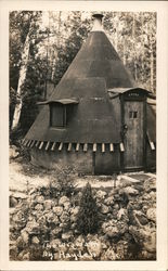 The Wigwam by Hayden Postcard