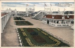 Electric Park Showing Flower Beds Postcard