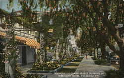 Scene on Colorado Street in front of Maryland Hotel Pasadena, CA Postcard Postcard Postcard