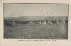 A Round-Up Scene South Dakota Postcard Postcard Postcard