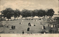 View of Chautauqua Grounds Postcard