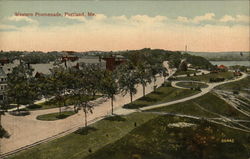 Western Promenade Postcard