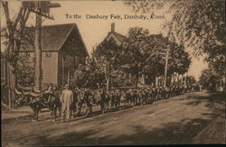 To the Danbury Fair Connecticut Postcard Postcard Postcard