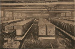 Danbury Fair - Poultry Department Postcard