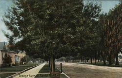 Orange Avenue Postcard