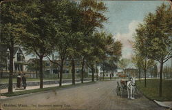 The Boulevard Looking East Postcard