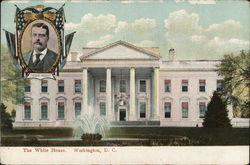 The White House - Theodore Roosevelt Washington, DC Washington DC Postcard Postcard Postcard