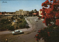 Jericho Town Center Palestinian Territories Middle East Postcard Postcard Postcard