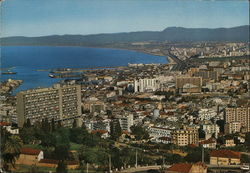 View of City and Coast Algiers, Algeria Africa Postcard Postcard Postcard