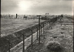 Auschwitz-Birkenau Government Museum, Hitler's Extermination Camp Fields Postcard