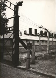 Auschwitz-Birkenau Government Museum, Hitler's Extermination Camps Postcard