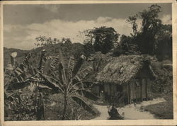 Colegrove - Thatched Hut, Tropical Scene Trinidad Caribbean Islands Postcard Postcard