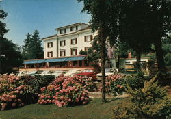 Park-Hotel Postcard