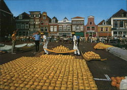 Cheese Market Postcard