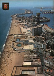 Aerial View of Harbor Postcard