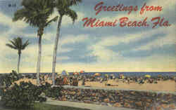 Greetings From Miami Beach Florida Postcard Postcard