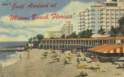 Just Arrived At Miami Beach Postcard