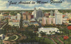 Just Arrived In Miami Postcard