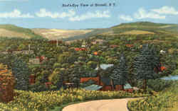 Bird's Eye View Of Hornell Postcard