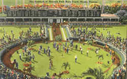 The Paddock At Hialeah Park Race Track Postcard