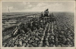 Ploegen in de Wieringermeer Postcard