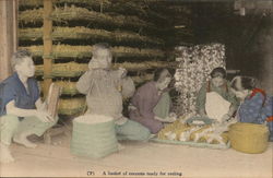 A basket of cocoons ready for reeling - Silk Japan Postcard Postcard