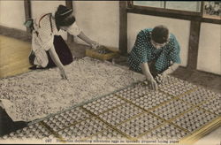 Silkworm farming Japan Postcard Postcard