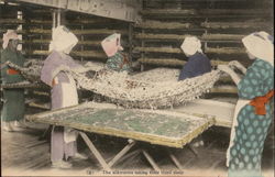 Silk Worms Taking Their Third Sleep Tokyo, Japan Postcard Postcard