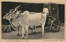 Bahal - Bullock Cart Jaipur, India Postcard Postcard