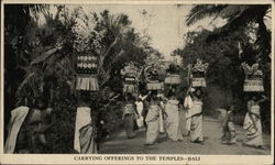 Carrying offerings to the temples - Bali Postcard