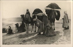 Prayer in the Desert Postcard