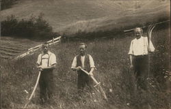 Three farmers Farming Postcard Postcard Postcard