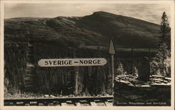 Sweden-Norway Border Postcard Postcard