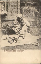 Snake Charmer Egypt Africa Postcard Postcard