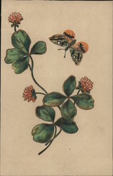 Butterfly and flowers Postcard