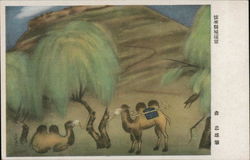 Camels - Japanese Gunji Yubin Postcard Postcard