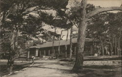 Y.W.C.A. Asilomar Postcard