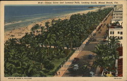 Ocean Drive and Lummus Park, Looking South Miami Beach, FL Postcard Postcard Postcard