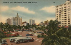 Biscayne Boulevard Looking South Postcard