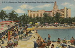 Cabana Sun Club and the Roney Plaza Hotel Miami Beach, FL Postcard Postcard Postcard